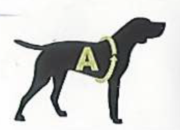 dogicon